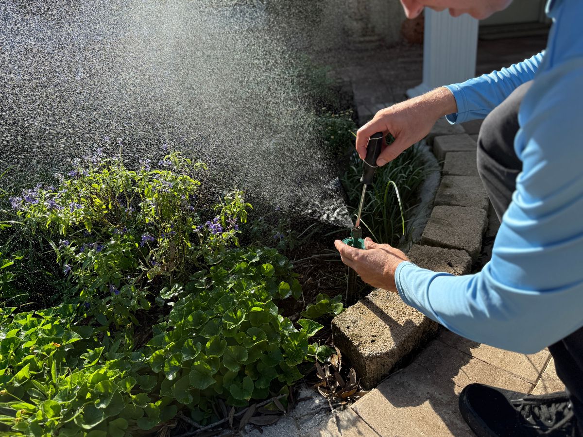 Irrigation-4